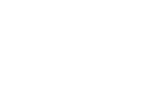 Genie Lettings
